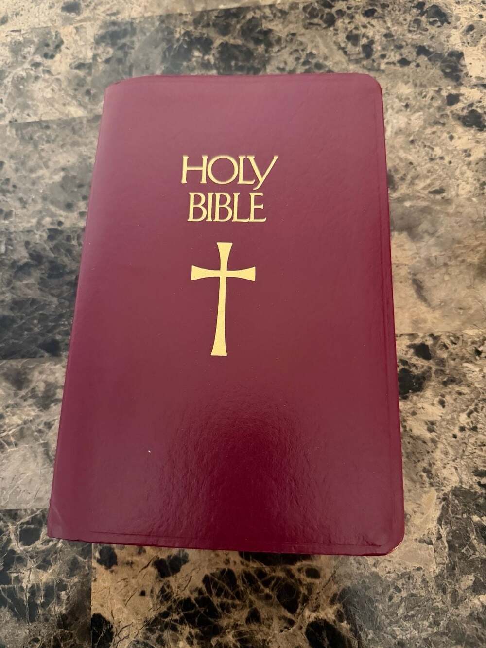 Catholic Bible Press New American Bible 9053NBG Burgundy Hardcover